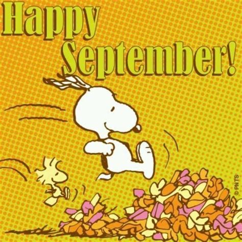 Happy September Leaves Snoopy Month September Hello September September