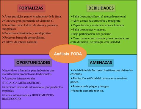 Analisis Foda De Fortalezas Oportunidades Debilidades Y Amenazas En La