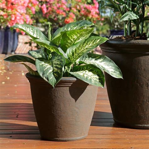Sunnydaze Anjelica Indoor And Outdoor Resin Planter Rust Finish 16 Inch Diameter Flower Pots