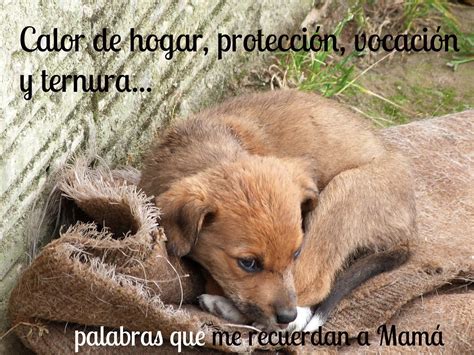 Las primeras celebraciones del día de. Frases para toda ocación: Postales día de la madre