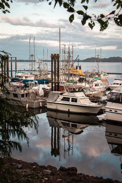Follow The Rushbrook Trail In Prince Rupert Bc And Discover What