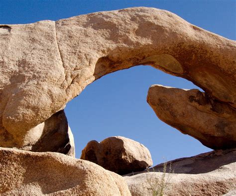Arch Rock Nature Trail Joshua Tree National Park All You Need To