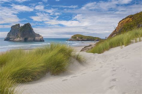 Dune Vegetation At Famous Wharariki Beach South Island Newzealand