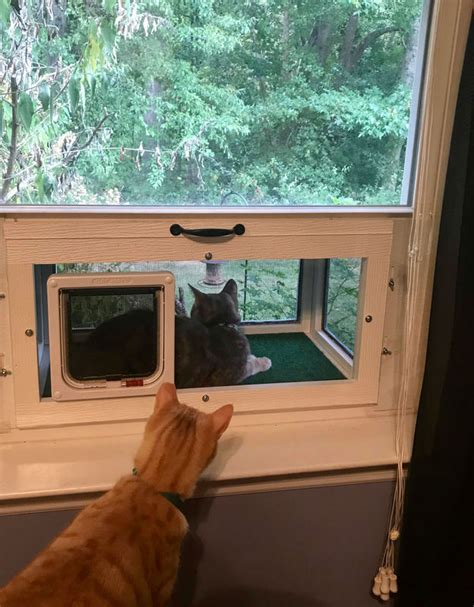 Cat Window Boxes And Patios That Fit Into The Window Like An Air