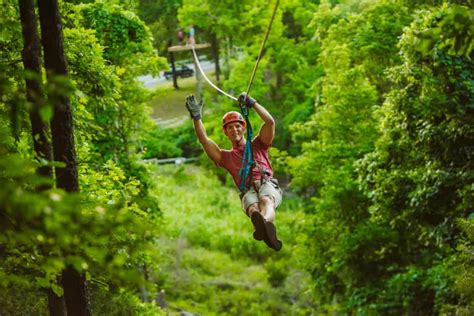 Zipline Canopy Tours - Shepherd's Adventure Park | Branson