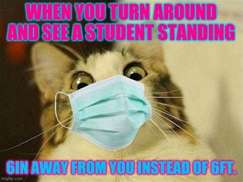 2o Quarantine Cat In School Imgflip