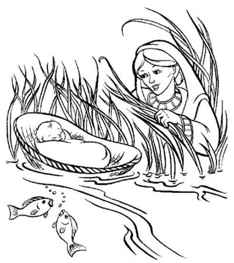 God protected baby moses coloring page this printable coloring page based on exodus 2 1 10 will help kids learn that god is able to sovereignly protect his people. 45 Desenhos Bíblicos para Colorir/Pintar em Casa!