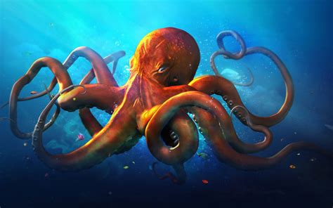 Cute Octopus Wallpaper (43+ images)