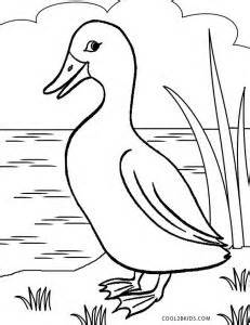 printable duck coloring pages  kids coolbkids