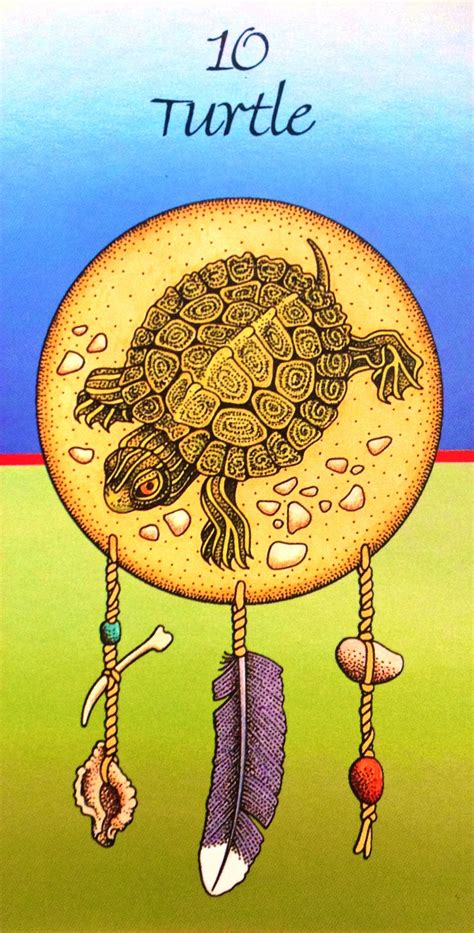 Gaining understanding from these brothers and sisters is a healing process. Turtle Medicine | Animal medicine cards, Medicine cards, Animal medicine