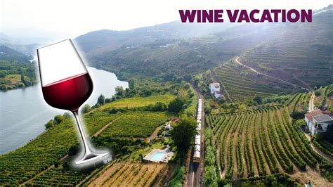 10 Places To Travel Based On Your Favorite Wine Youtube