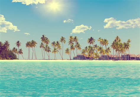 The Island With Palm Trees In The Oceanwith Retro Effect Stock Photo