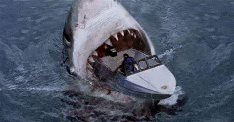 Megalodon Shark | The Food Chain | Pinterest | Megalodon shark