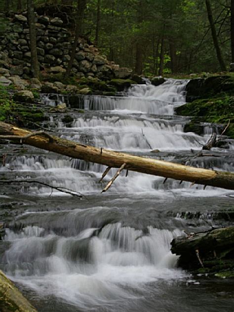 Stokes state forest is a state park located in sandyston, montague and frankford in sussex county, new jersey, united states. Stokes State Forest, a New Jersey State Forest located ...