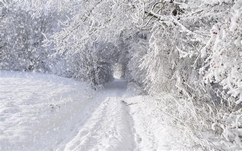Nature Landscapes Winter Snow Snowing Snowflake Snowfall Roads