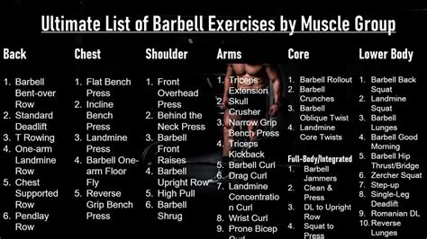Muscle Groups Workout Chart