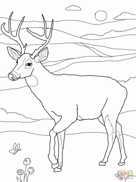 Printable Deer Coloring Pages For Adults Free Printable Coloring