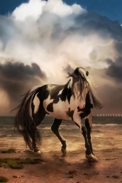 42 Horse Wallpaper For Iphone