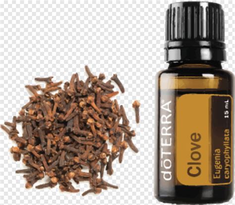 Its main chemical component, eugenol, makes it a very stimulating and energizing essential oil that can be used as a. Clove - Doterra Serenity Restful Blend Essential Oil 15ml ...