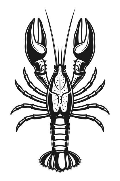 Premium Vector Crayfish Detailed Illustration In Vintage Monochrome Style