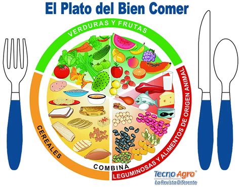 El Plato Del Bien Comer Salud Y Sabor Secretar A De Agricultura Y Hot Sex Picture
