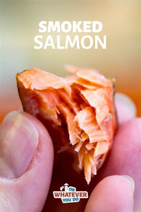 Last updated jul 22, 2021. Traeger Smoked Salmon | Hot Smoked Salmon Recipe on the ...