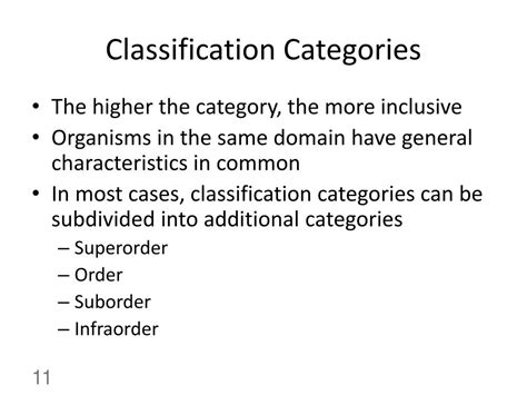 Ppt Classification Powerpoint Presentation Free Download Id2061506