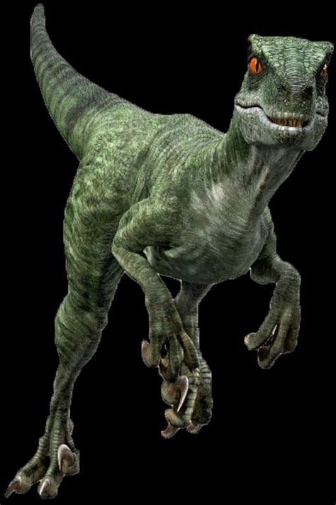 Pin De Bibi En Jurassic World Imagenes De Dinosaurios Animados
