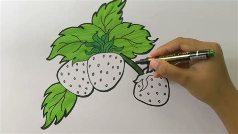 how to draw strawberry easy and coloring youtube