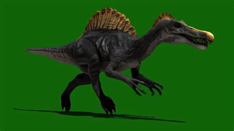 Jurassic Park Iii Spinosaurus Running Cycle Green Screen Cgi Youtube