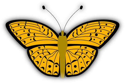 Download 96 gambar animasi kupu kupu hitam putih hd terbaik. Koleksi 95 Gambar Animasi Hewan Kupu Kupu HD Gratis ...