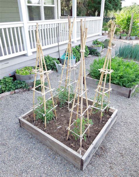 Want To Make Your Own Tomato Cages Tomato Cage Diy Vegetable Garden