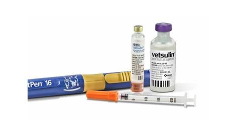 Using Vetsulin to Help Manage Diabetes in Dogs and Cats - Allivet Pet
