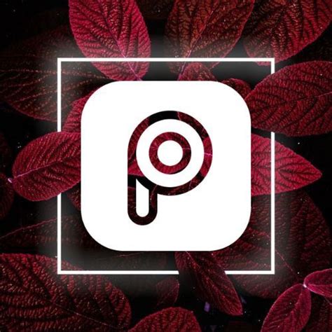 Picsart Icon App Icon App Icon