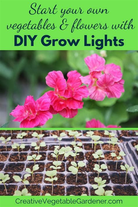 Start implementing burpees into your workout routine, and you'll get very fit! How to Make the Ultimate DIY Grow Lights | Grow lights ...