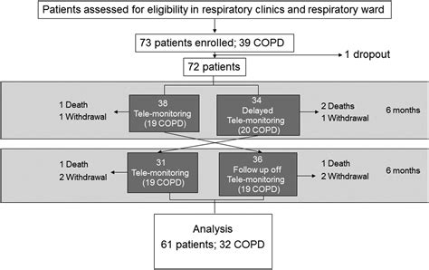 Randomised Crossover Trial Of Telemonitoring In Chronic Respiratory