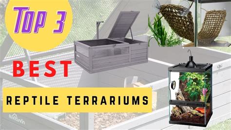 2021 Best Reptile Terrariums Petsdel Youtube