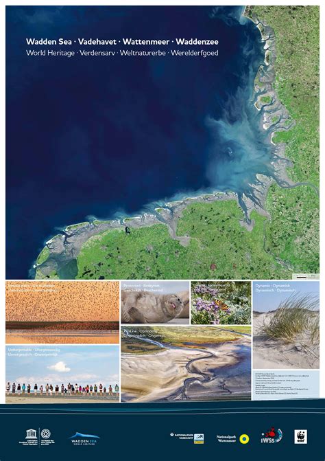 November 2016 von johanna prinz | keine kommentare. Artenvielfalt Wattenmeer entdecken