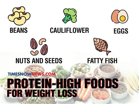 The best protein foods for weight loss. Weight Loss Diet | What to eat on a high-protein diet to ...