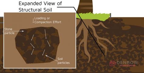 Structural Soil For Urban Trees Denbow