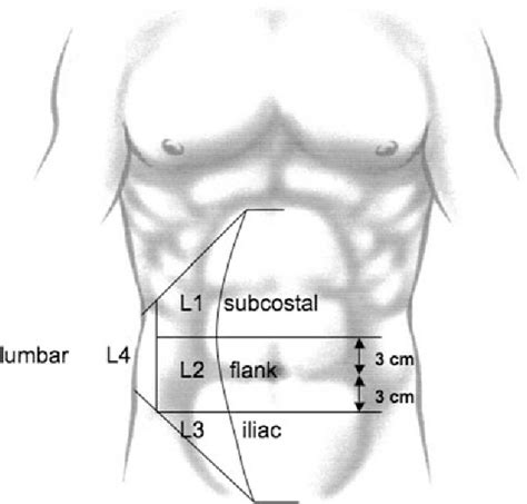 Pdf Classification Of Primary And Incisional Abdominal Wall Hernias