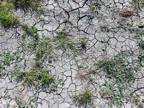 Dry Cracked Soil Ground Texture Background Dry Grass Lawn Texture
