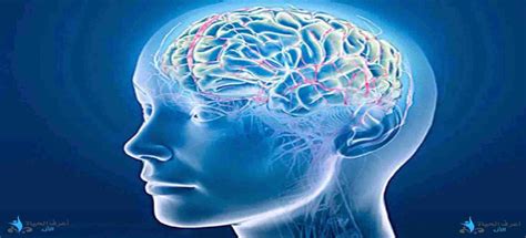 Maybe you would like to learn more about one of these? قوة العقل الباطن - أعرف الحياة الآن