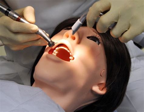 Japan Unveils Willing Dental Patient A Robot