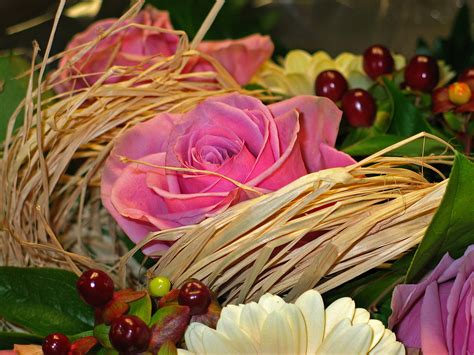 Maybe you would like to learn more about one of these? Immagini Belle : fiore, petalo, regalo, vaso, decorazione ...
