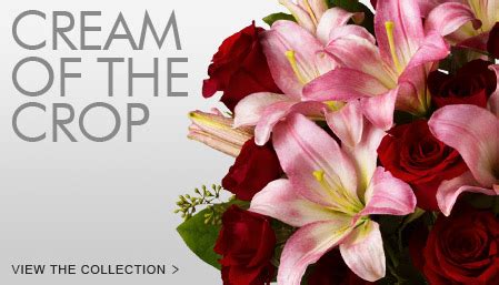 Flower delivery philippines | how to send flowers to the philippines sending flowers to the philippines is easy. Send Flowers to Philippines, Same Day Florist Delivery ...