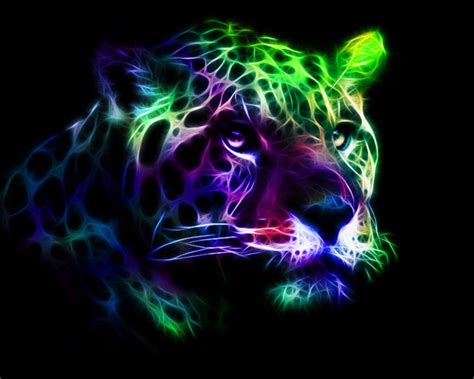 Neon Animal Abstract Wallpapers Top Những Hình Ảnh Đẹp