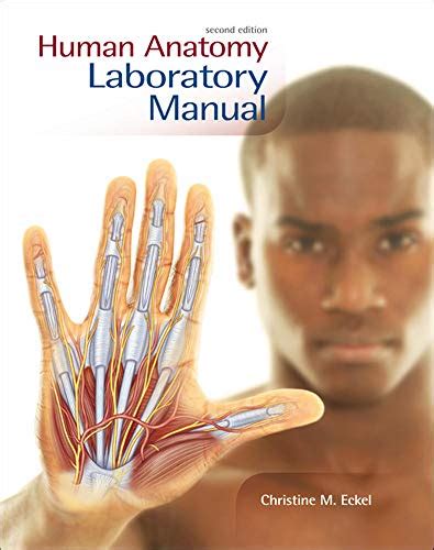 Human Anatomy Lab Manual Eckel Christine 9780073525662 Abebooks