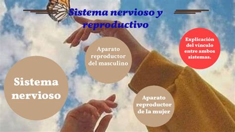 Actividad Integradora Sistema Nervioso Y Reproductivo By Estudios