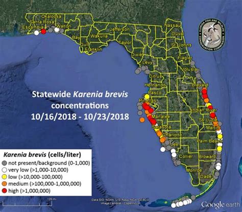 Red Tide Blooms Increase On Floridas West Coast Health News Florida